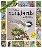 Audubon Songbirds and Other Backyard Birds Picture-A-Day® Wall Calendar 2027 1523533404 Book Cover