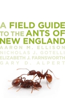 A Field Guide to the Ants of New England 0300169302 Book Cover