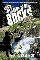 God's Diamond Among Rocks: Rewards and Challenges of Single Parent Adoption While Facing a Physical Challenge 1438979096 Book Cover