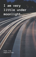 I am very little under moonlight. 9357446222 Book Cover