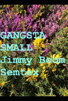 GANGSTA SMALL B0C4X6K2LY Book Cover
