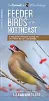 Feeder Birds of the Northeast: A Folding Pocket Guide to Common Backyard Birds (Cornell All About Birds Series) 1620052229 Book Cover
