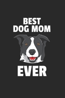 Hund H�ndchen Notizbuch: Hund H�ndchen Notizbuch f�r Liebhaber / Notizheft / Notizblock A5 (6x9in) Dotted Notebook / Punkteraster / 120 gepunktete Seiten 1673847811 Book Cover