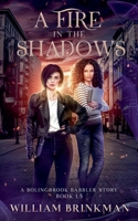 A Fire in the Shadows: A Bolingbrook Babbler Story B0BSRJKBQQ Book Cover