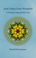 AND THEN GOD WINKED: A glimpse beyond the veil B0DW8Z8442 Book Cover