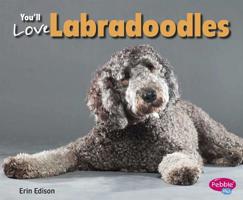 You'll Love Labradoodles 1491405708 Book Cover