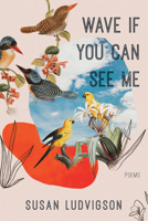 Wave If You Can See Me 1597098639 Book Cover