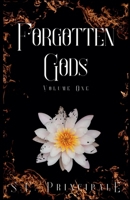 Forgotten Gods: Volume One B0C1J2Q9FK Book Cover