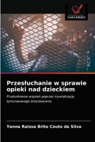 Przesłuchanie w sprawie opieki nad dzieckiem: Przeludnienie więzień poprzez trywializację tymczasowego aresztowania 6203647942 Book Cover