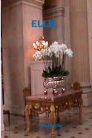 The Accountant B08HV8HTMV Book Cover