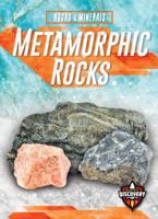 Metamorphic Rocks 1618917439 Book Cover