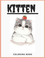 kitten: oloring Book for Kids and Adults with Fun, Easy, and Relaxing (Coloring Books for Adults and Kids 2-4 4-8 8-12+) High-quality images null Book Cover