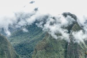 Hypertension? Blood Sugar? Depression?: How I Cured Them All 173212910X Book Cover