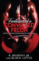 Fantasies of A Convicted Felon: Erotic Fantasies From Behind the Prison Walls B0CH28JPP6 Book Cover