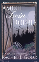 Amish Twin Trouble: A Benuel Miller Amish Suspense Novel 1638880115 Book Cover