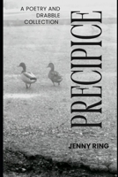 Precipice: A Poetry and Drabble Collection B0DX7HHGNF Book Cover