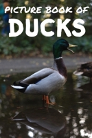 Picture book of ducks: Photos of ducks - Picture book for kids and more - Picture book for seniors with Dementia and Alzheimer - B08BDWYM56 Book Cover