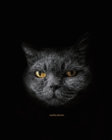 weekly planner: 2020 Monthly Planner, black cat weekly planner, journal, daily planner + Calendar Organizer, Address Book, notebook, 8 x10" 1699428115 Book Cover