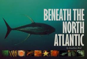 Beneath the North Atlantic 1559493143 Book Cover