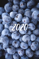 2020 Weekly & Monthly Planner: 6X9 Size – Glossy Soft Cover - Multi-Purpose: Organizer/Calendar/Notebook/Agenda/Diary/Journal. (Fruit Themed Planners) 1675440158 Book Cover