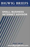 Bigwig Briefs:  Small Business Internet Advisor - Industry Reveal the Secrets to Internet Marketing, Bizdev, Hr, Financing, Ecommerce, and Other Important Topics 1587620189 Book Cover