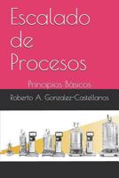 Escalado de Procesos: Principios Básicos 1719846170 Book Cover