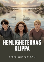 Hemligheternas klippa: Första året (Swedish Edition) 9180978231 Book Cover
