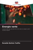 Énergie verte (French Edition) 6207958527 Book Cover