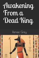 Awakening From a Dead King 1090293992 Book Cover