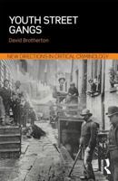 Youth Street Gangs: A critical appraisal 0415856299 Book Cover