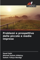 Problemi e prospettive delle piccole e medie imprese (Italian Edition) 6208691435 Book Cover