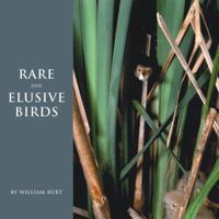 Rare and Elusive Birds of North America 0789306387 Book Cover