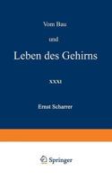 Vom Bau Und Leben Des Gehirns 3642982697 Book Cover