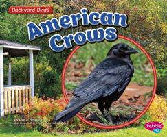 American Crows 1491485159 Book Cover