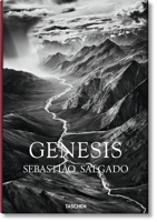 Genesis 3836542617 Book Cover