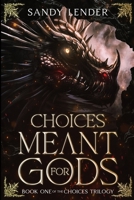 Choices Meant for Gods 1595071652 Book Cover