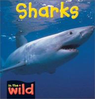 Sharks 0739854984 Book Cover