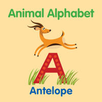 Animal Alphabet 1760791067 Book Cover