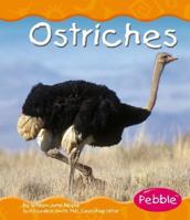 Ostriches (Pebble Books) 0736836365 Book Cover