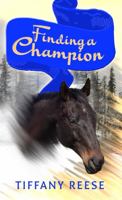 Finding a Champion null Book Cover