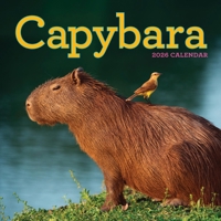 Capybara Wall Calendar 2026 152353124X Book Cover