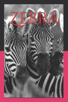 Zebra B09TDW7RSK Book Cover