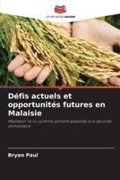 Défis actuels et opportunités futures en Malaisie (French Edition) 6207471423 Book Cover