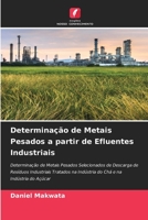 Determina��o de Metais Pesados a partir de Efluentes Industriais 6204107356 Book Cover