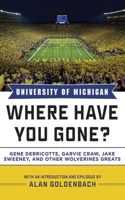 Michigan: Where Have You Gone? 1613212356 Book Cover