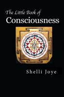 The Little Book of Consciousness: Pribram's Holonomic Brain Theory and Bohm's Implicate Order 0998878545 Book Cover