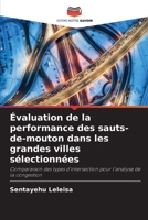 Évaluation de la performance des sauts-de-mouton dans les grandes villes sélectionnées 6204462393 Book Cover