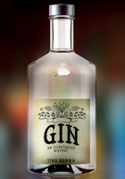Gin: An Illustrated History 144568005X Book Cover