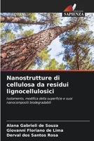 Nanostrutture di cellulosa da residui lignocellulosici: Isolamento, modifica della superficie e suoi nanocompositi biodegradabili (Italian Edition) 6204605429 Book Cover