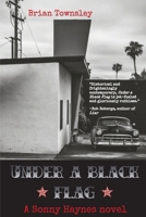Under a Black Flag: A Sonny Haynes Novel B0GRJH6C72 Book Cover